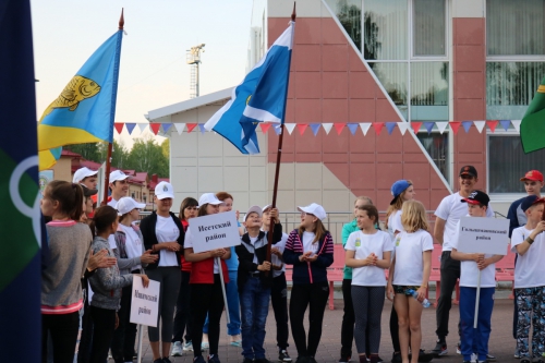 Областной летний фестиваль ВФСК ГТО среди школьников 2018