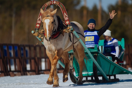IX Всероссийские зимние сельские спортивные игры. День 2